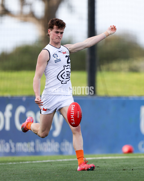 VFL 2025 Round 17 - Casey Demons v Carlton - A-60658101