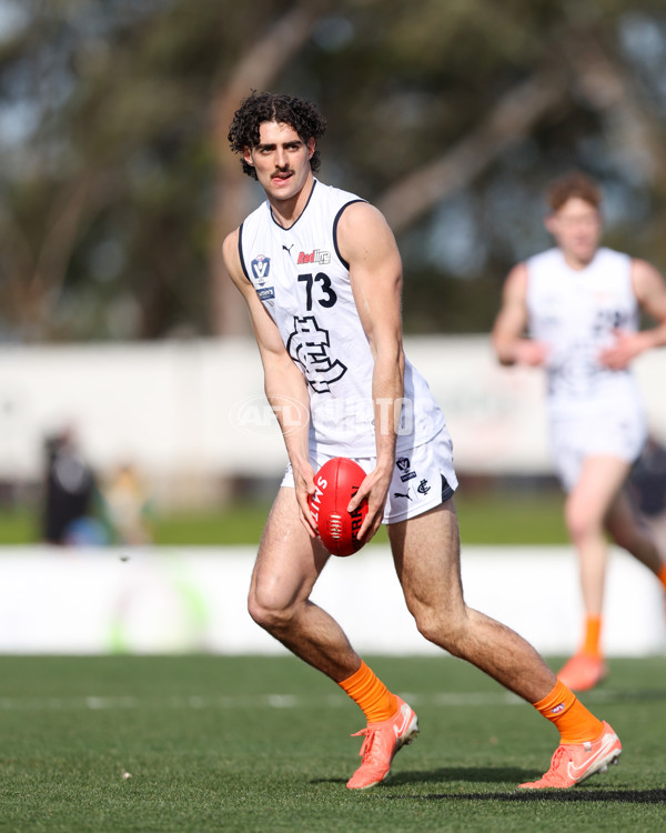 VFL 2025 Round 17 - Casey Demons v Carlton - A-60658102