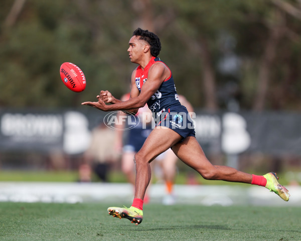 VFL 2025 Round 17 - Casey Demons v Carlton - A-60658105