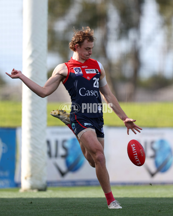 VFL 2025 Round 17 - Casey Demons v Carlton - A-60658486