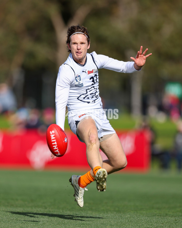 VFL 2025 Round 17 - Casey Demons v Carlton - A-60658488