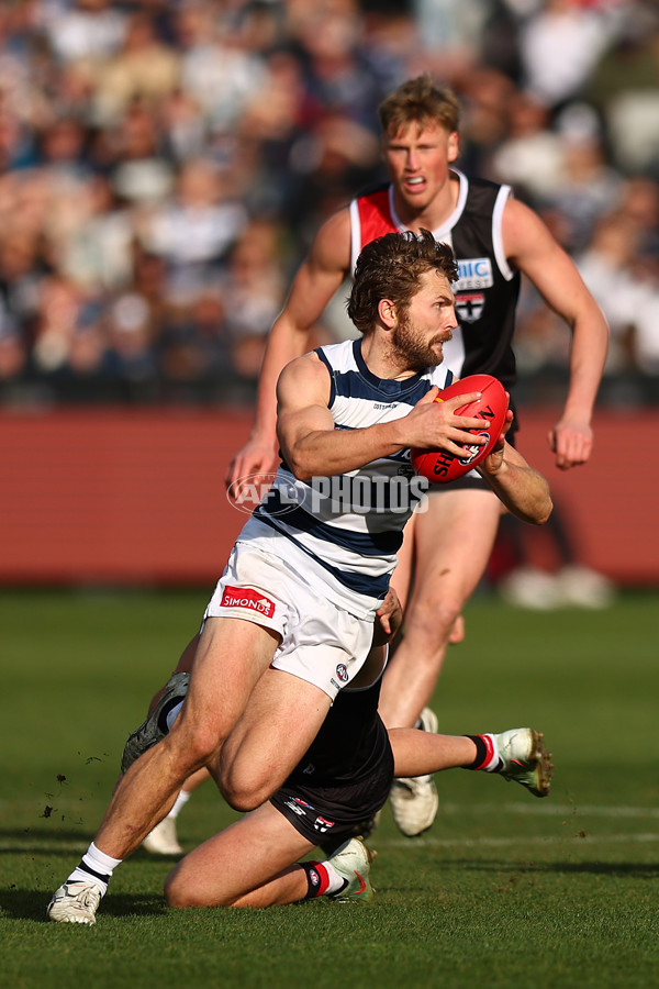 AFL 2025 Round 19 - Geelong v St Kilda - A-60660617