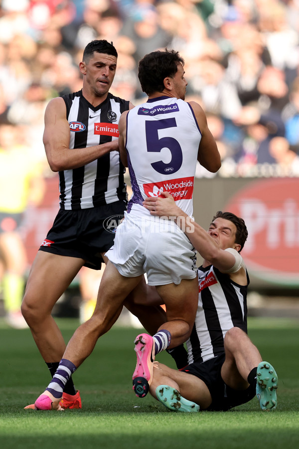 AFL 2025 Round 19 - Collingwood v Fremantle - A-60660620