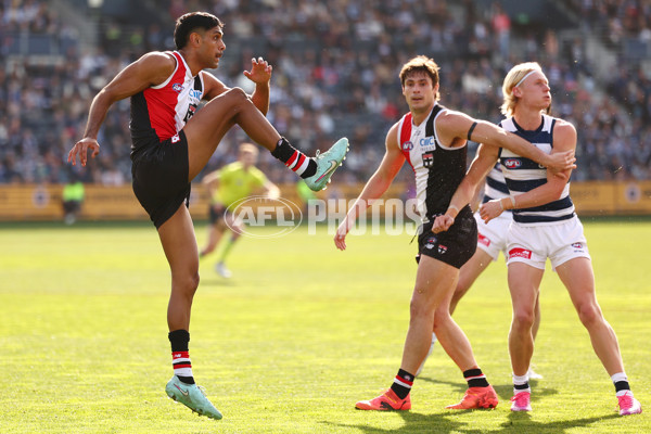 AFL 2025 Round 19 - Geelong v St Kilda - A-60660665