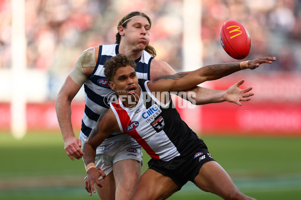 AFL 2025 Round 19 - Geelong v St Kilda - A-60660682