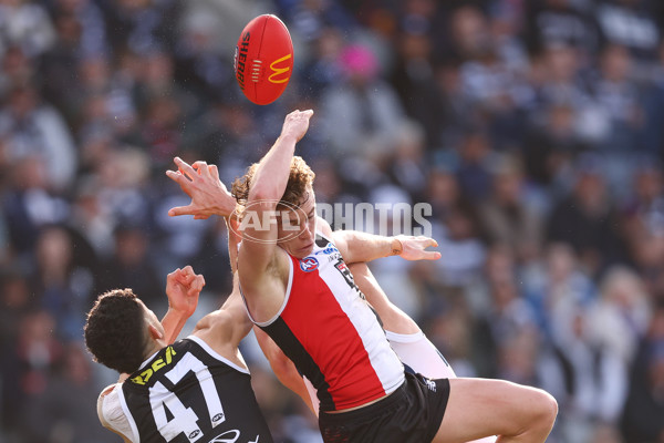 AFL 2025 Round 19 - Geelong v St Kilda - A-60661320