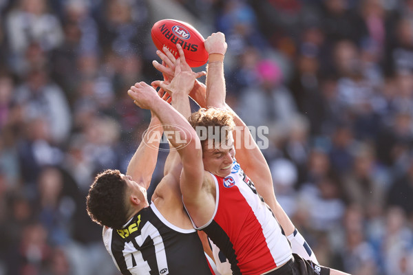 AFL 2025 Round 19 - Geelong v St Kilda - A-60661321