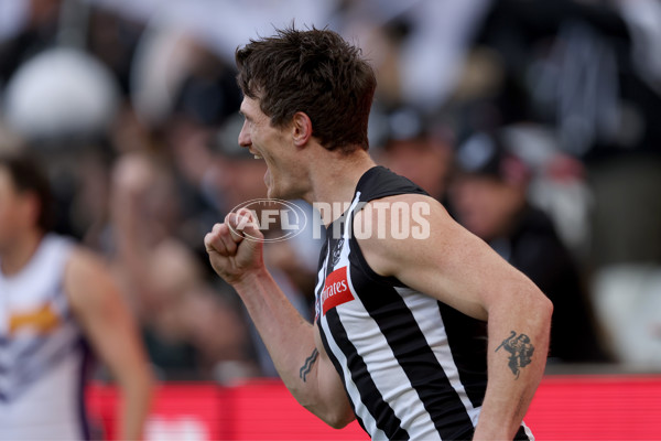 AFL 2025 Round 19 - Collingwood v Fremantle - A-60661370