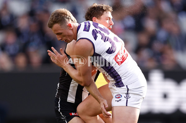 AFL 2025 Round 19 - Collingwood v Fremantle - A-60661391