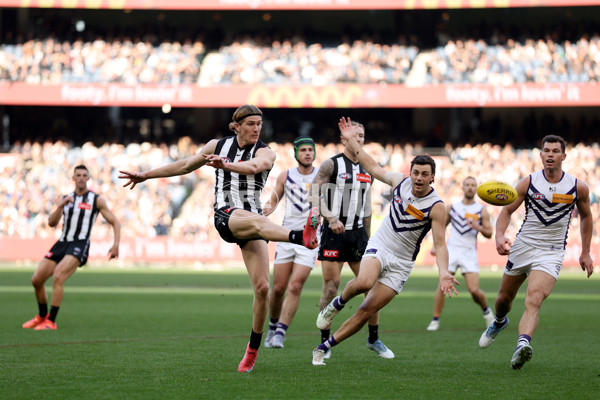 AFL 2025 Round 19 - Collingwood v Fremantle - A-60661403
