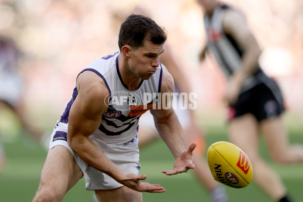 AFL 2025 Round 19 - Collingwood v Fremantle - A-60663762