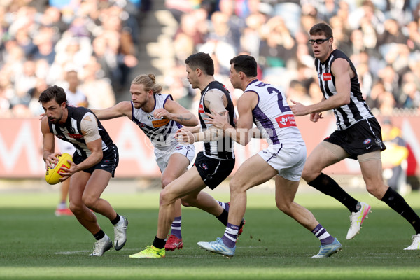 AFL 2025 Round 19 - Collingwood v Fremantle - A-60663763