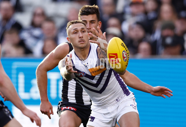 AFL 2025 Round 19 - Collingwood v Fremantle - A-60663764