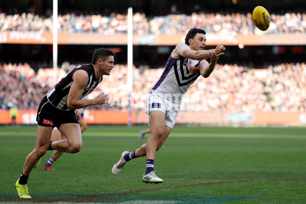 AFL 2025 Round 19 - Collingwood v Fremantle - A-60663776