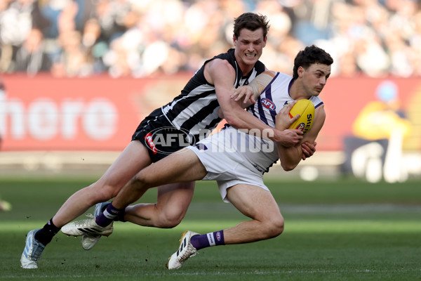 AFL 2025 Round 19 - Collingwood v Fremantle - A-60663793