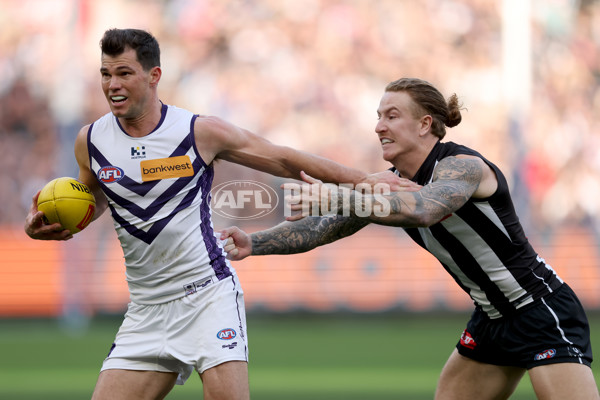AFL 2025 Round 19 - Collingwood v Fremantle - A-60663859