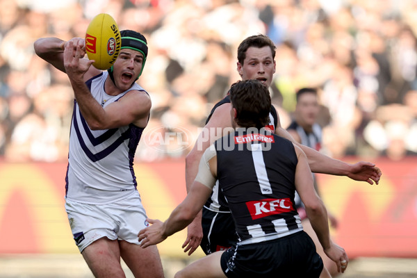 AFL 2025 Round 19 - Collingwood v Fremantle - A-60663891