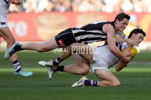 AFL 2025 Round 19 - Collingwood v Fremantle - A-60663897