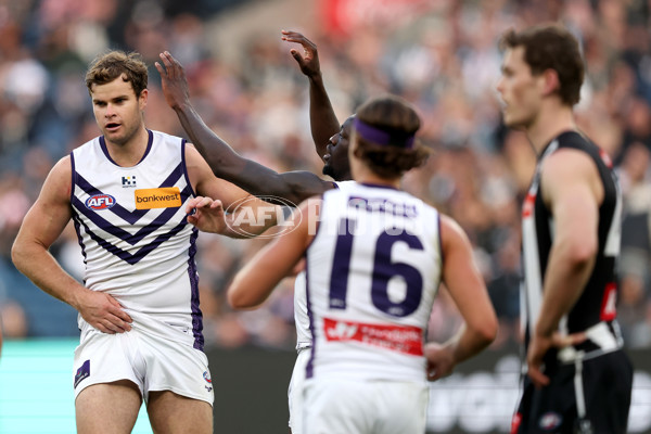 AFL 2025 Round 19 - Collingwood v Fremantle - A-60666321
