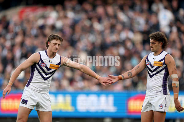 AFL 2025 Round 19 - Collingwood v Fremantle - A-60666334