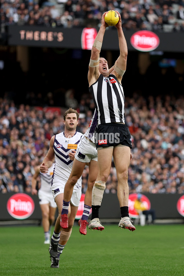 AFL 2025 Round 19 - Collingwood v Fremantle - A-60666338