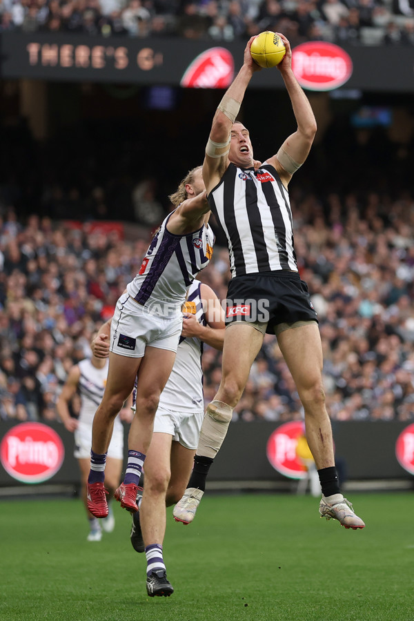 AFL 2025 Round 19 - Collingwood v Fremantle - A-60666339