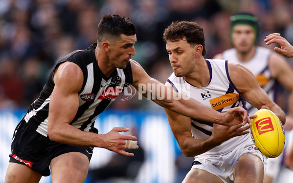 AFL 2025 Round 19 - Collingwood v Fremantle - A-60666562