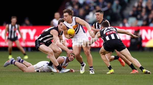AFL 2025 Round 19 - Collingwood v Fremantle - A-60666592