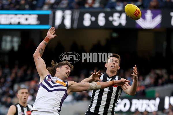 AFL 2025 Round 19 - Collingwood v Fremantle - A-60666643