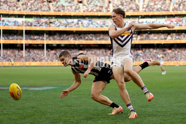 AFL 2025 Round 19 - Collingwood v Fremantle - A-60666644