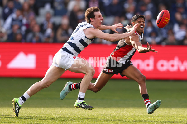 AFL 2025 Round 19 - Geelong v St Kilda - A-60669114