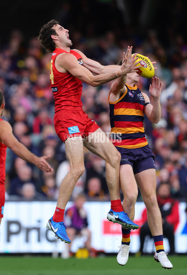 AFL 2025 Round 19 - Adelaide v Gold Coast - A-60669119