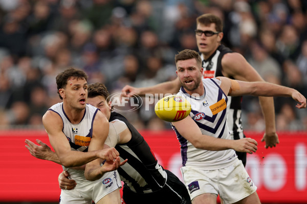 AFL 2025 Round 19 - Collingwood v Fremantle - A-60669128