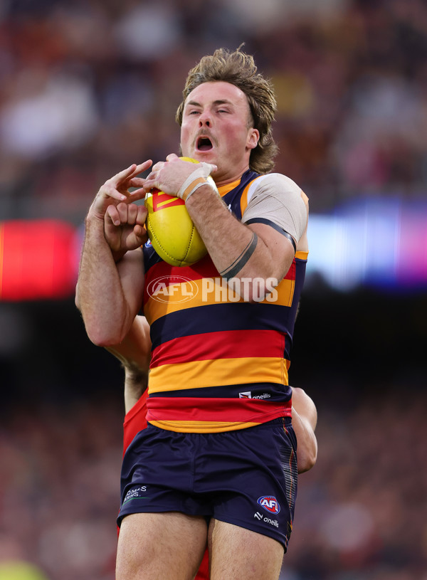 AFL 2025 Round 19 - Adelaide v Gold Coast - A-60669135