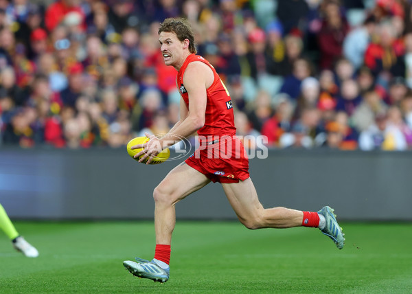 AFL 2025 Round 19 - Adelaide v Gold Coast - A-60669185
