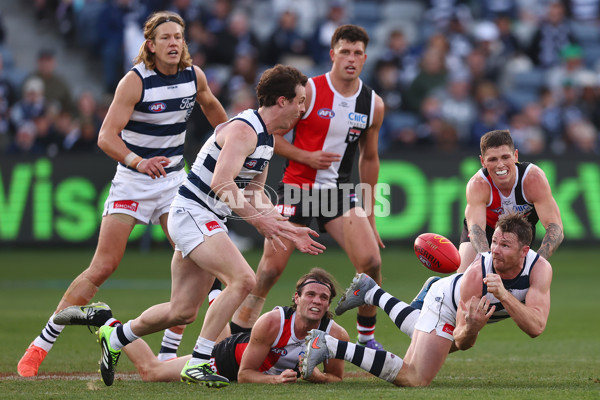 AFL 2025 Round 19 - Geelong v St Kilda - A-60669190