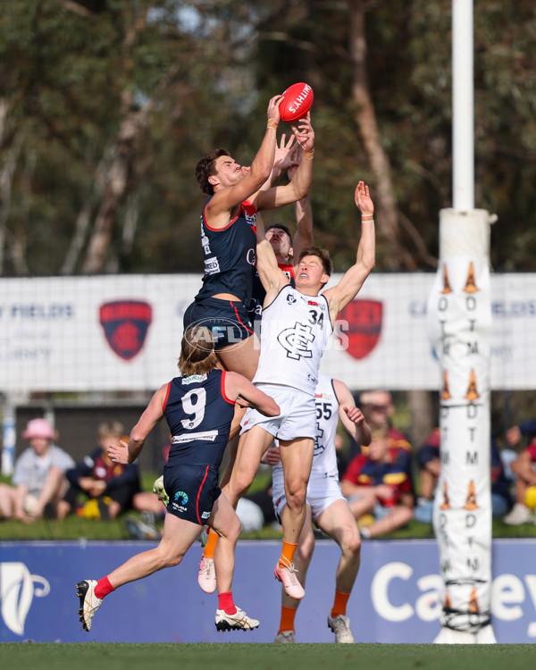 VFL 2025 Round 17 - Casey Demons v Carlton - A-60669191