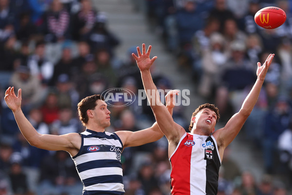 AFL 2025 Round 19 - Geelong v St Kilda - A-60669216