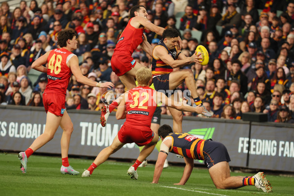 AFL 2025 Round 19 - Adelaide v Gold Coast - A-60669270