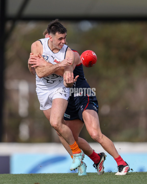 VFL 2025 Round 17 - Casey Demons v Carlton - A-60671438