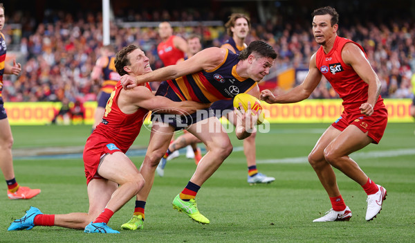 AFL 2025 Round 19 - Adelaide v Gold Coast - A-60671478