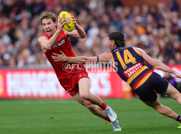 AFL 2025 Round 19 - Adelaide v Gold Coast - A-60671489