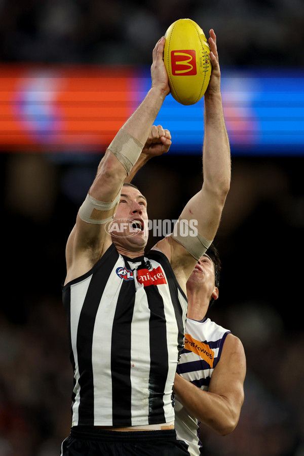 AFL 2025 Round 19 - Collingwood v Fremantle - A-60671501