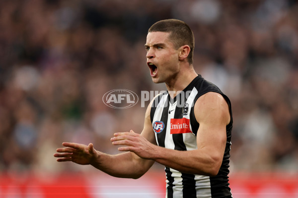 AFL 2025 Round 19 - Collingwood v Fremantle - A-60671526