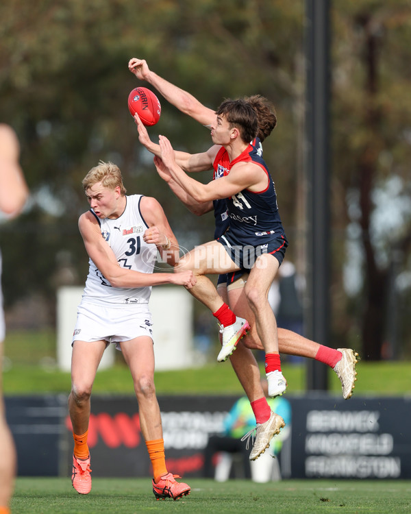 VFL 2025 Round 17 - Casey Demons v Carlton - A-60671542