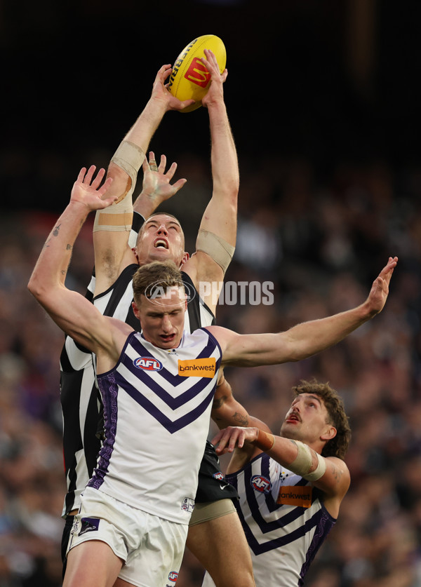 AFL 2025 Round 19 - Collingwood v Fremantle - A-60671559