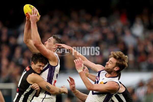 AFL 2025 Round 19 - Collingwood v Fremantle - A-60671560