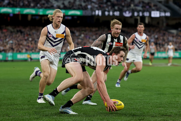 AFL 2025 Round 19 - Collingwood v Fremantle - A-60671596