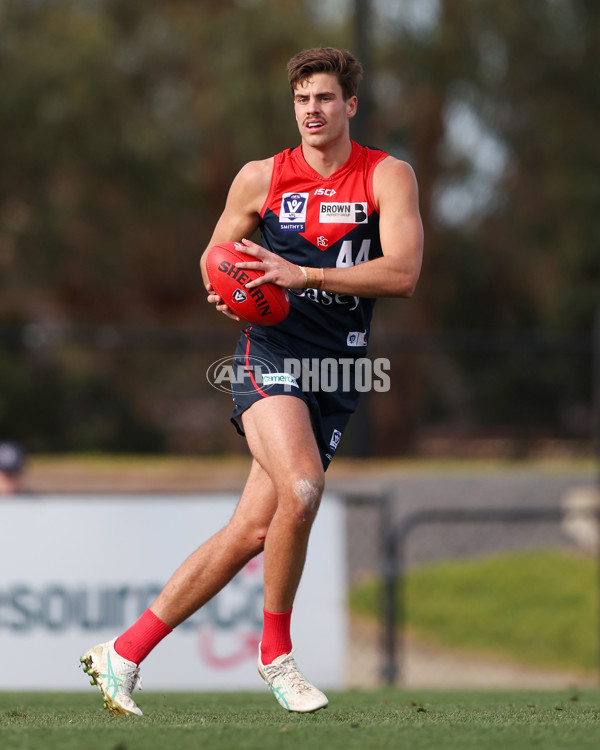 VFL 2025 Round 17 - Casey Demons v Carlton - A-60674184