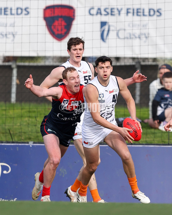 VFL 2025 Round 17 - Casey Demons v Carlton - A-60674187